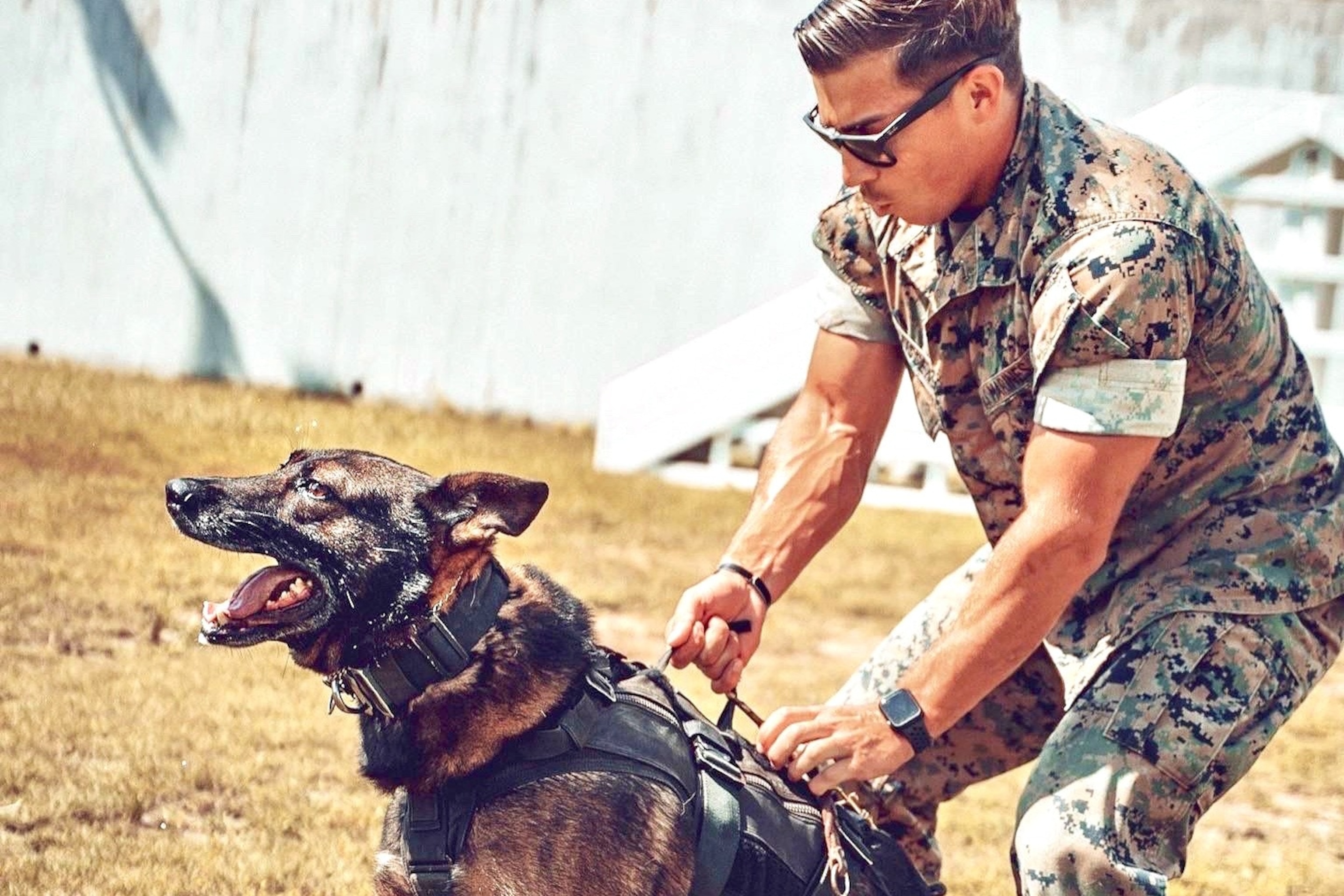 PHOTO: U.S. Marine Corps Sgt. Isaac Weissend and his K-9, 6-year-old male Poker, worked together as a team for two-and-a-half years in Japan.